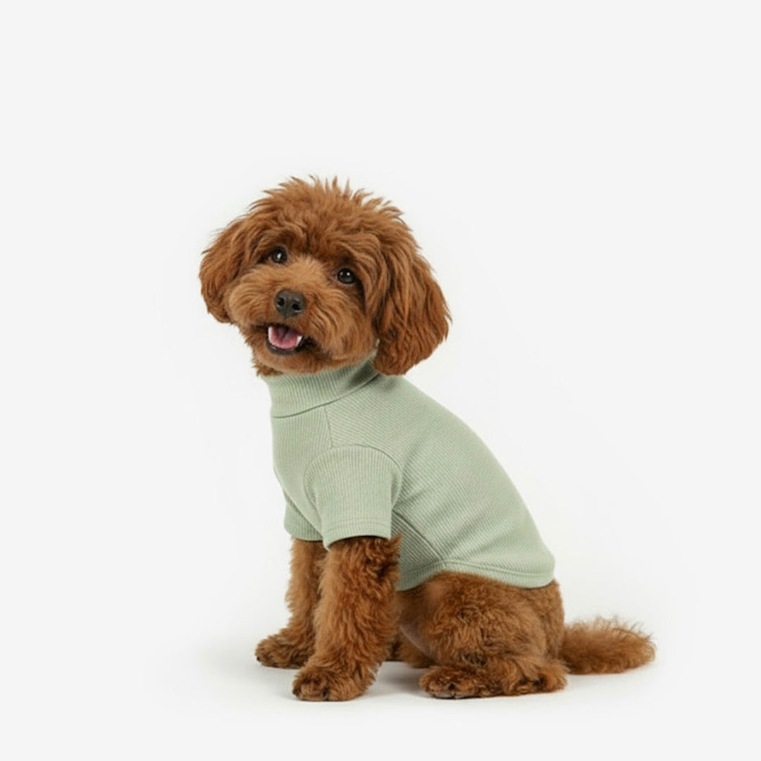 ※予約販売【TUSTUS】Soft neck（Khaki）