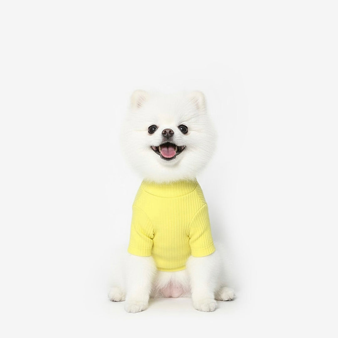 ※予約販売【TUSTUS】Soft neck（Lemon）