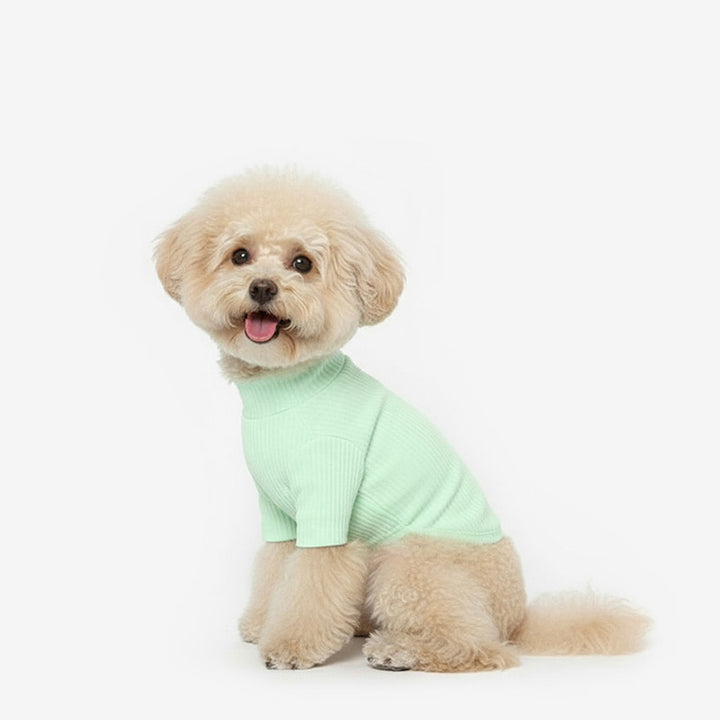 ※予約販売【TUSTUS】Soft neck（Lime）