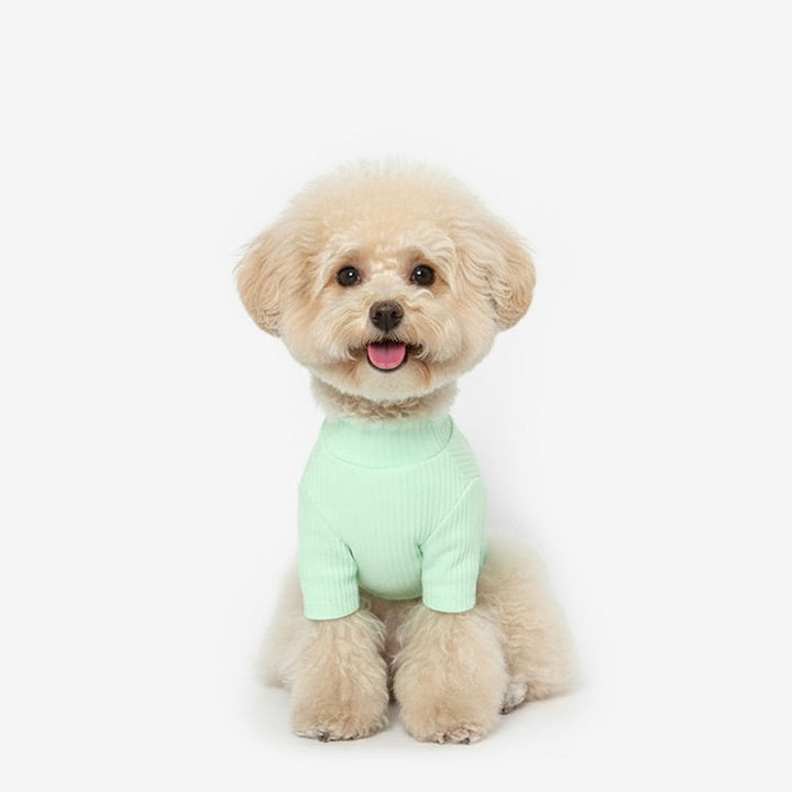 ※予約販売【TUSTUS】Soft neck（Lime）