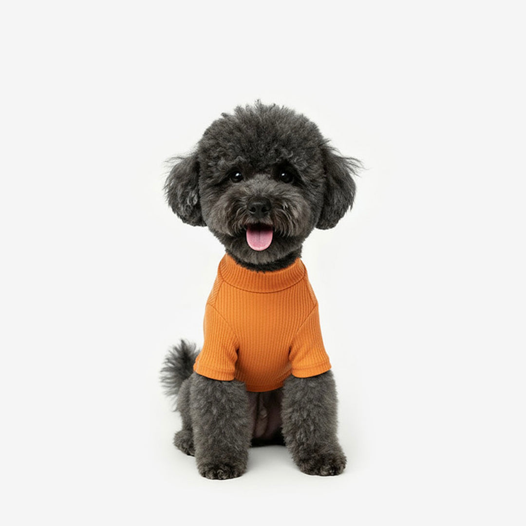 ※予約販売【TUSTUS】Soft neck（Orange）