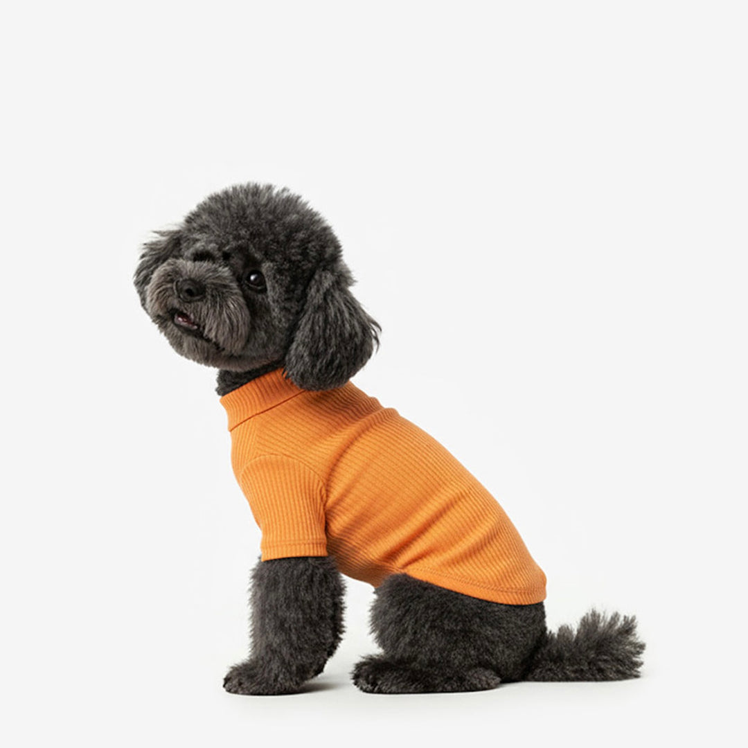 ※予約販売【TUSTUS】Soft neck（Orange）
