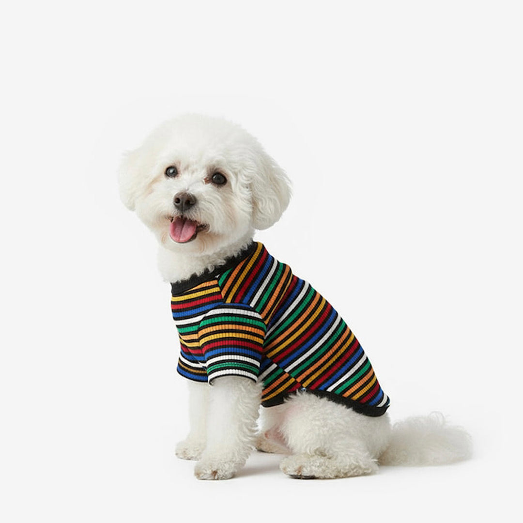 即納【TUSTUS】Color stripe tee（Black）