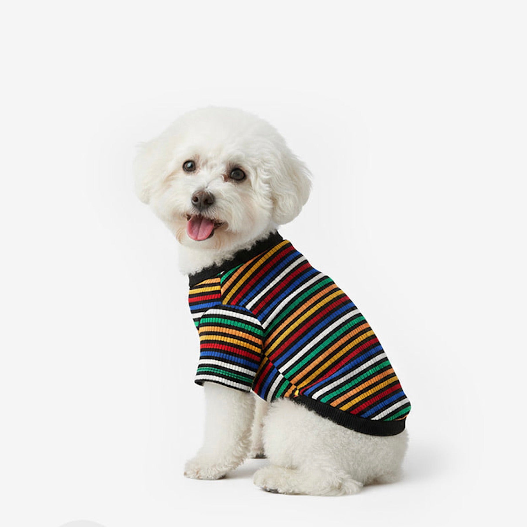 犬服　アメリカン　見本 アメリカンサニタリーパンツ S/M/L/XL/XXL D's Chat-ディーズ