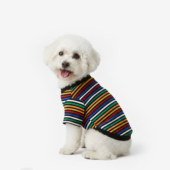 即納【TUSTUS】Color stripe tee（Black）