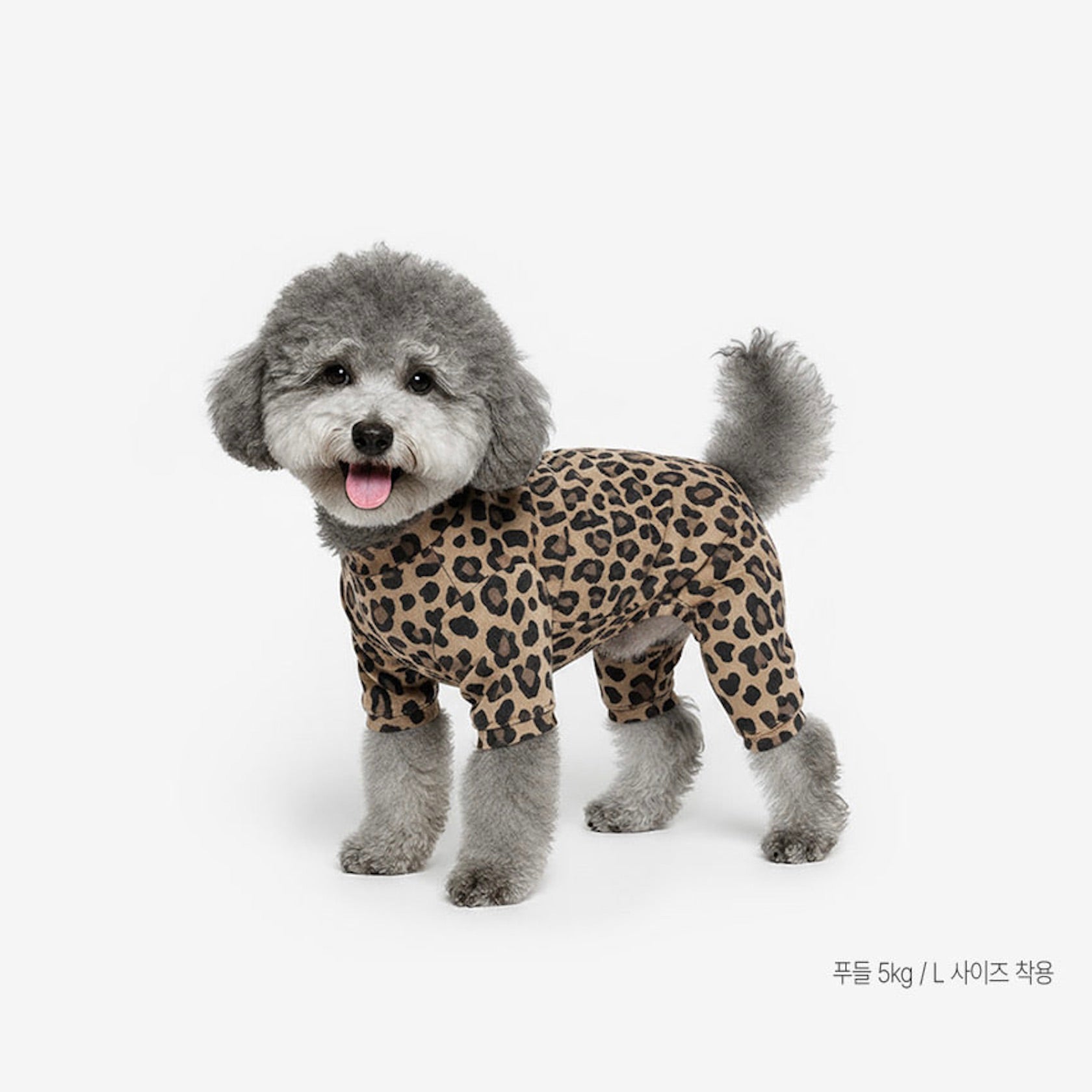 海外犬服 高品質なインポートのドッグウェア通販 