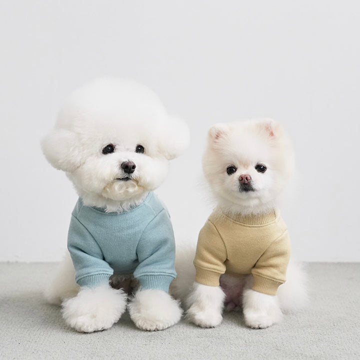 ※予約販売【noutti】Groovy Sweat Shirt（Olive Mustard）