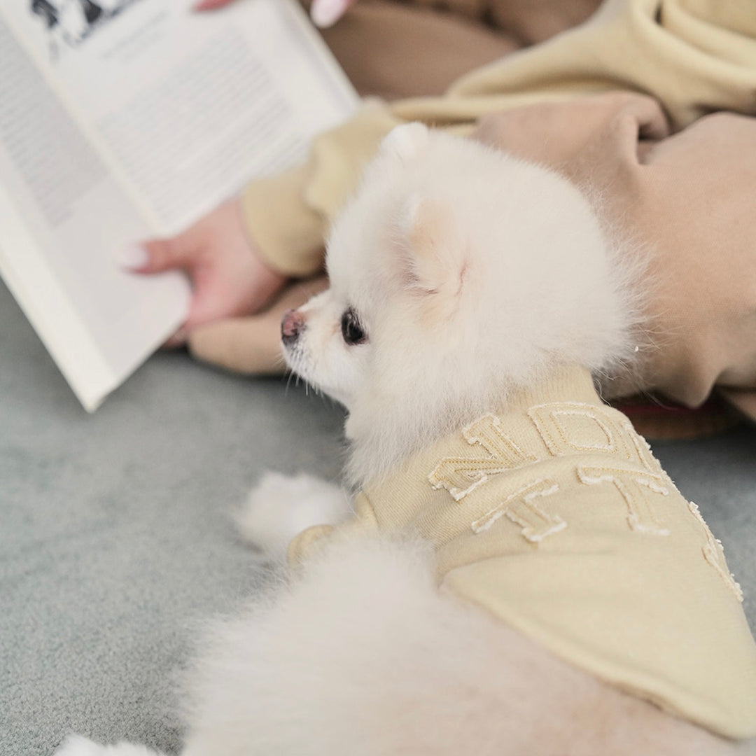 ※予約販売【noutti】Groovy Sweat Shirt（Olive Mustard）