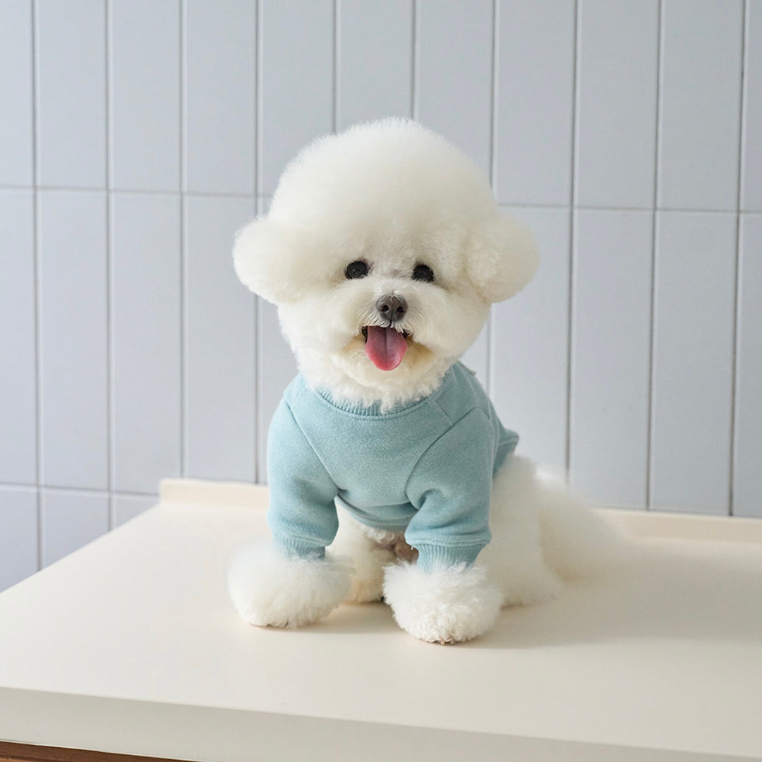 即納【noutti】Groovy Sweat Shirt（Sky Blue）