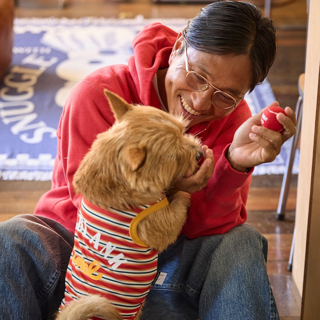即納【andblank】Andblank x Camel  ABC™ Carry Ball（3pcs）