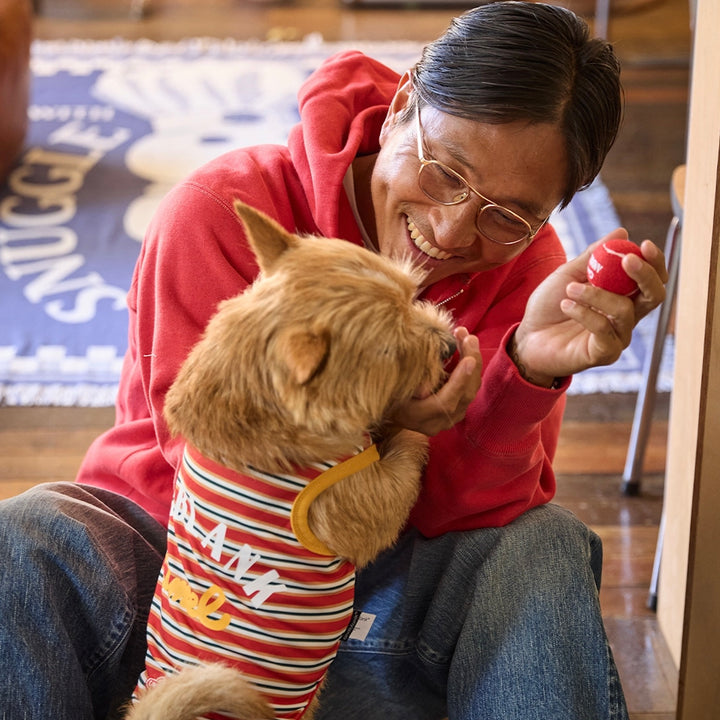 即納【andblank】Andblank x Camel  ABC™ Carry Ball（3pcs）