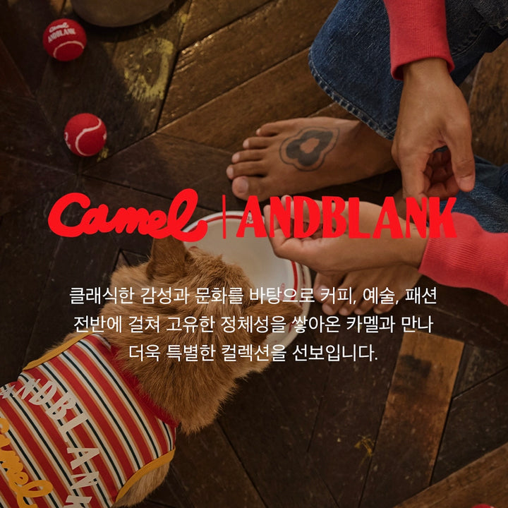 即納【andblank】Andblank x Camel  ABC™ Carry Ball（3pcs）