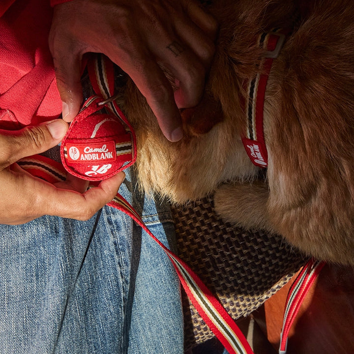 即納【andblank】Andblank x Camel  ABC™ Carry Ball（3pcs）