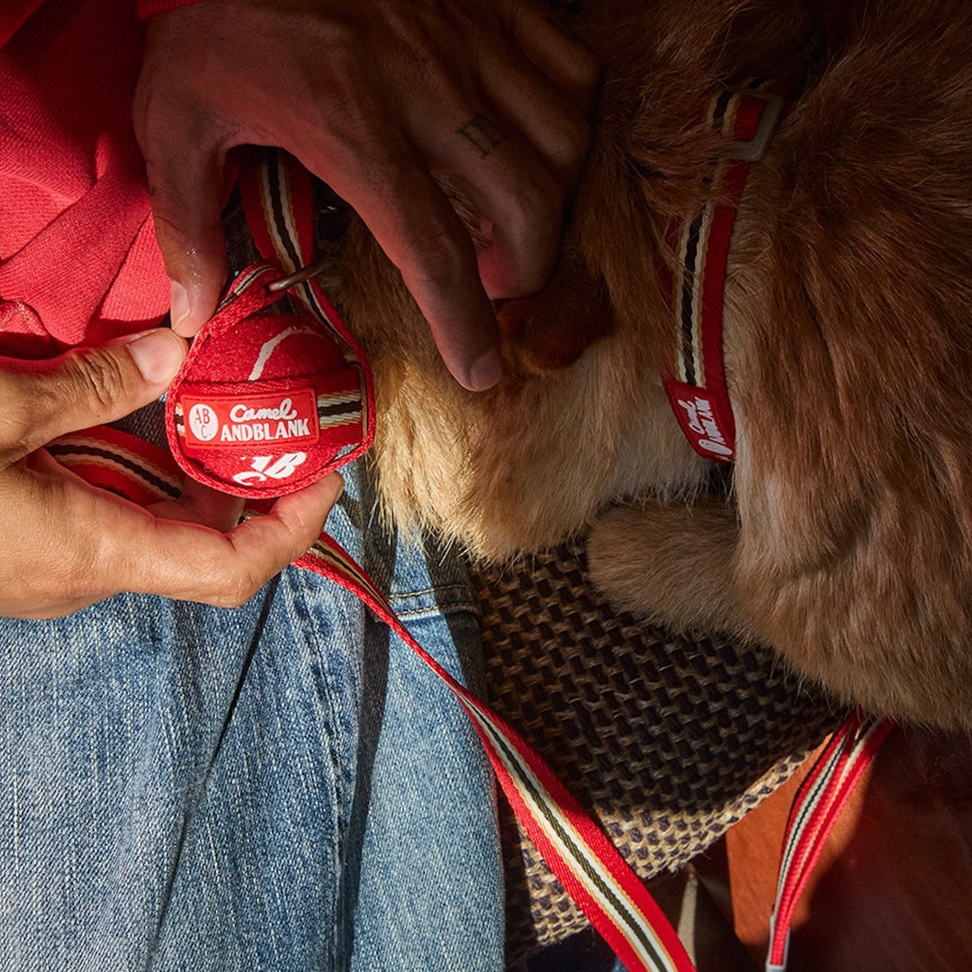 即納【andblank】Andblank x Camel  ABC™ Carry Ball Strap + Carry Ball（1pcs）