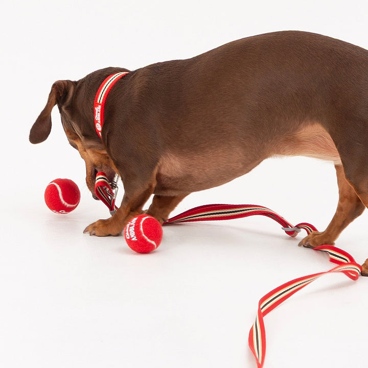 即納【andblank】Andblank x Camel  ABC™ Carry Ball Strap + Carry Ball（1pcs）