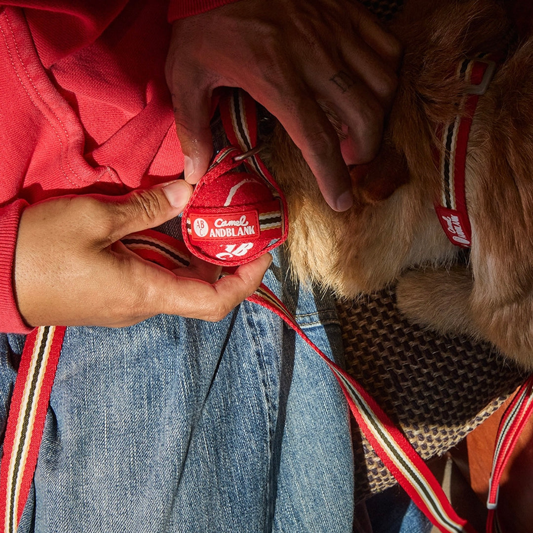 ※予約販売【andblank】Andblank x Camel  ABC™ Stripe Collar