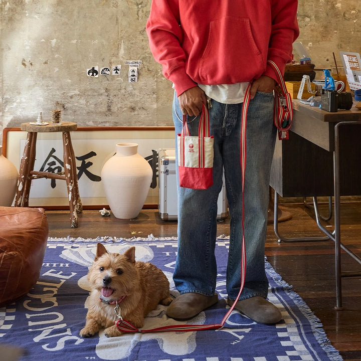 ※予約販売【andblank】Andblank x Camel  ABC™ Stripe Collar