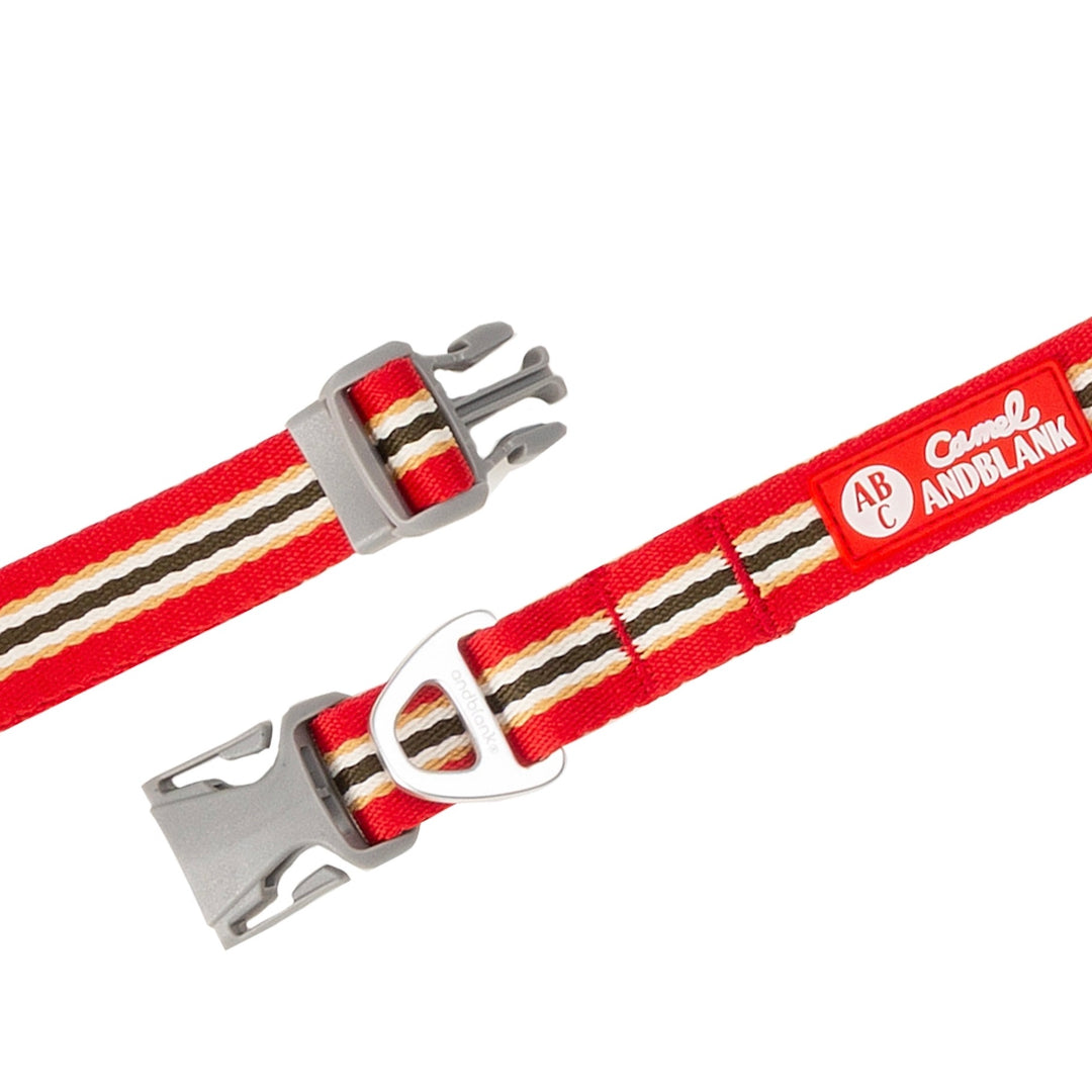 ※予約販売【andblank】Andblank x Camel  ABC™ Stripe Collar