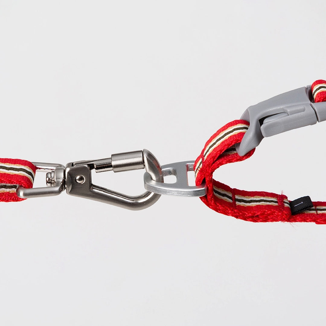 ※予約販売【andblank】Andblank x Camel  ABC™ Stripe Collar