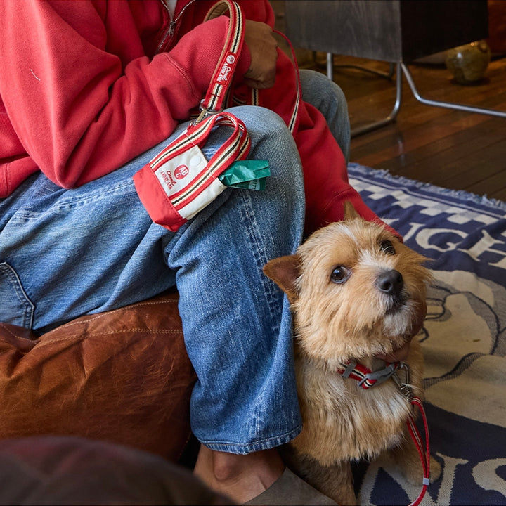 即納【andblank】Andblank x Camel  ABC™ Stripe Hands Free Leash