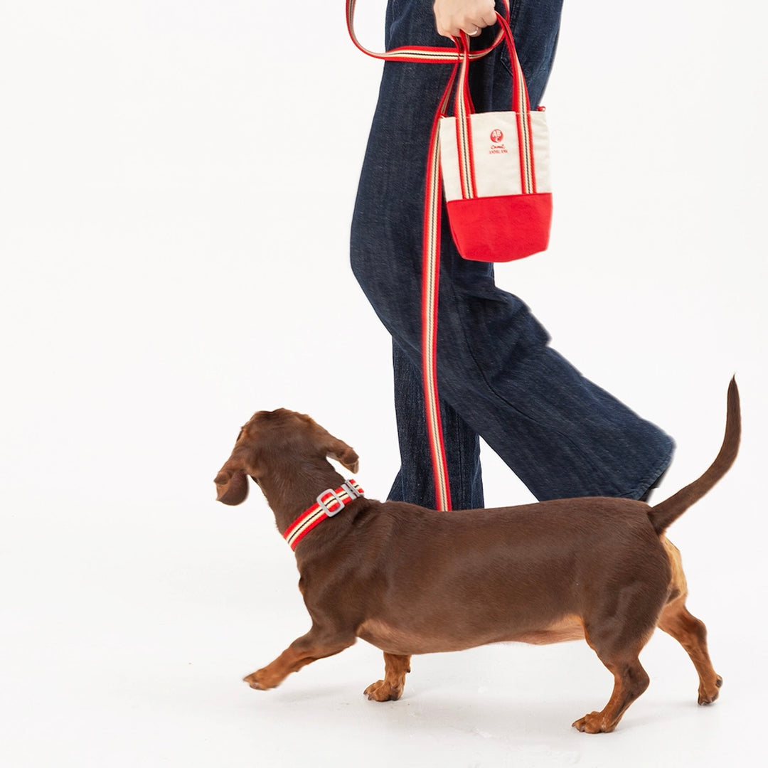 即納【andblank】Andblank x Camel  ABC™ Stripe Hands Free Leash