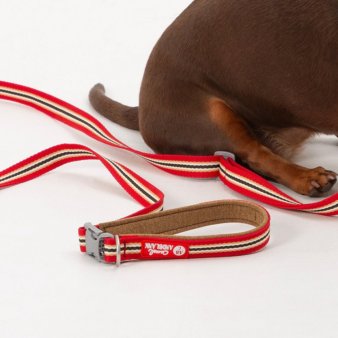 即納【andblank】Andblank x Camel  ABC™ Stripe Hands Free Leash