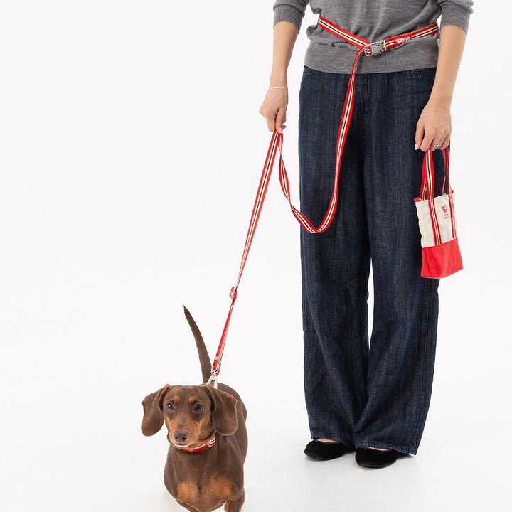 即納【andblank】Andblank x Camel  ABC™ Stripe Hands Free Leash