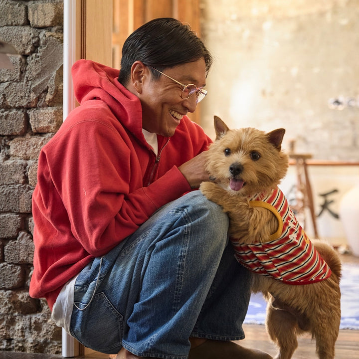 即納【andblank】Andblank x Camel  ABC™ Stripe Sleeveless