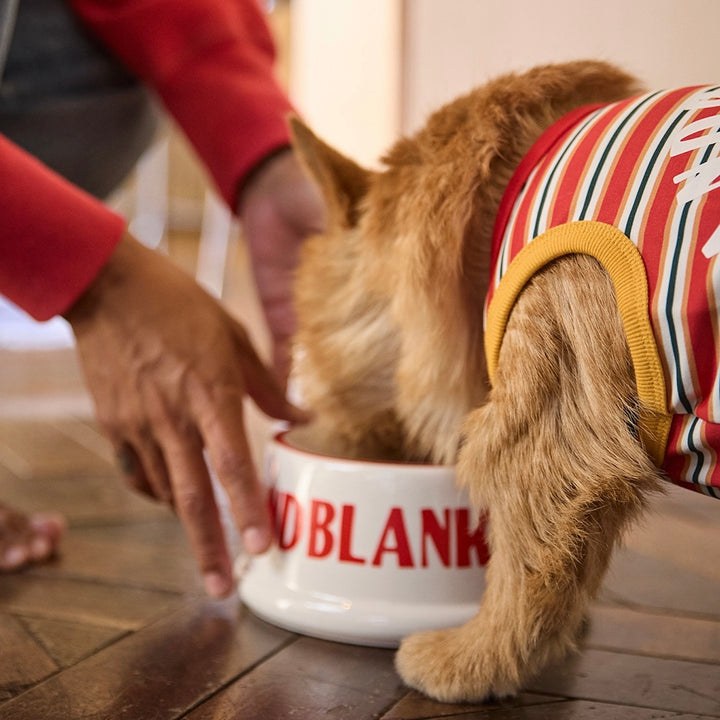 即納【andblank】Andblank x Camel  ABC™ Stripe Sleeveless