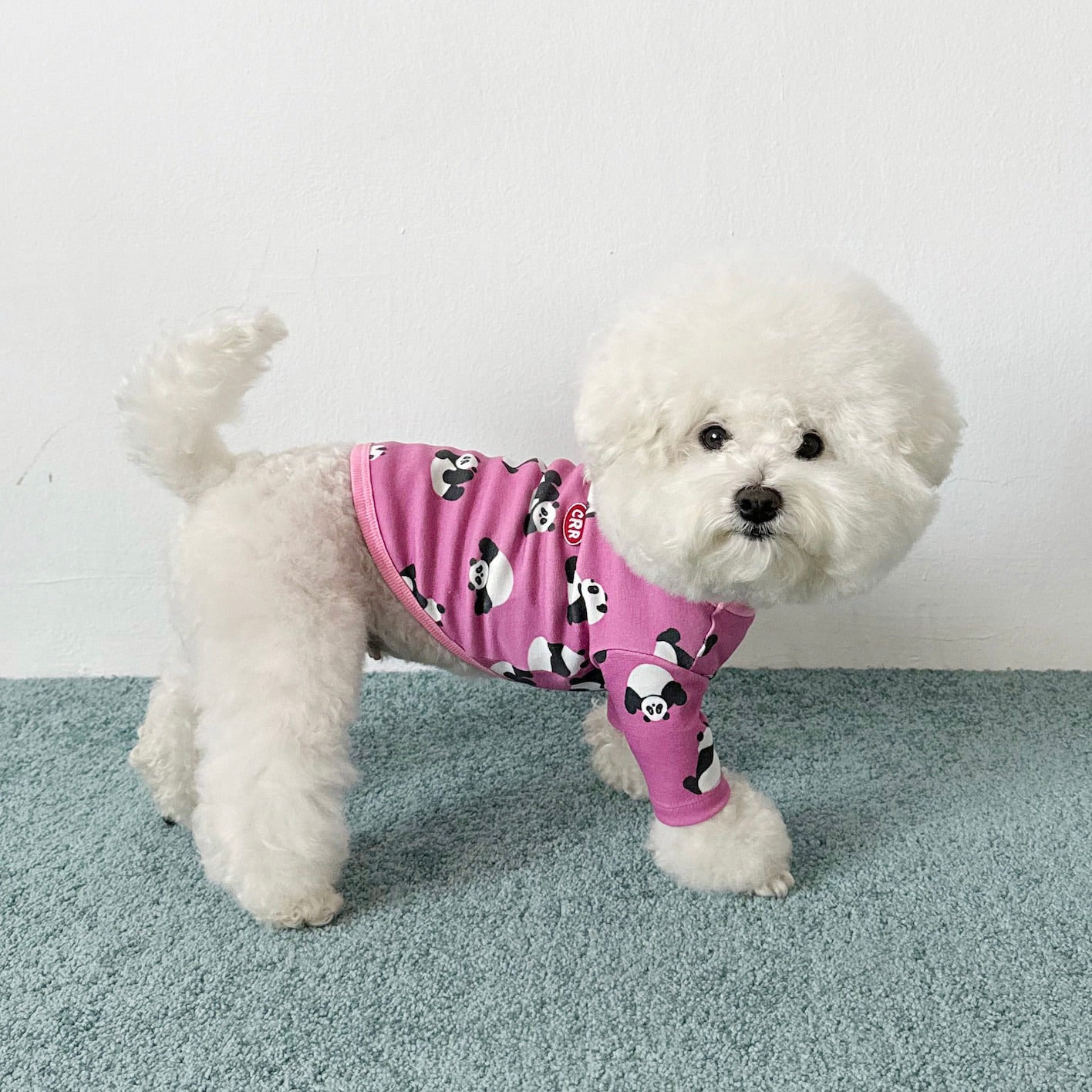 海外犬服 高品質なインポートのドッグウェア通販 