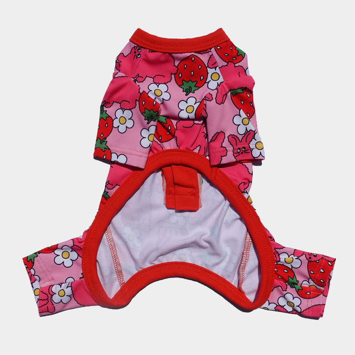 ※予約販売【CRR】Berry & Rabbit Button Detail All-in-one（Pink）