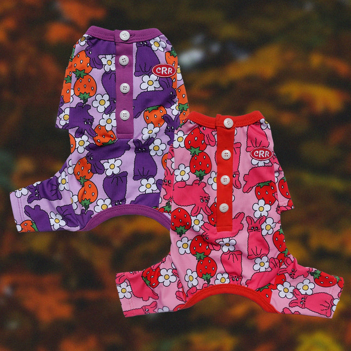 ※予約販売【CRR】Berry & Rabbit Button Detail All-in-one（Purple）