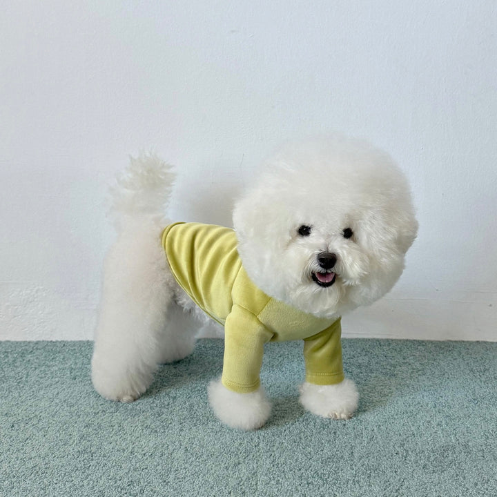 ※予約販売【CRR】Lazy Half Polar Tee（Olive）