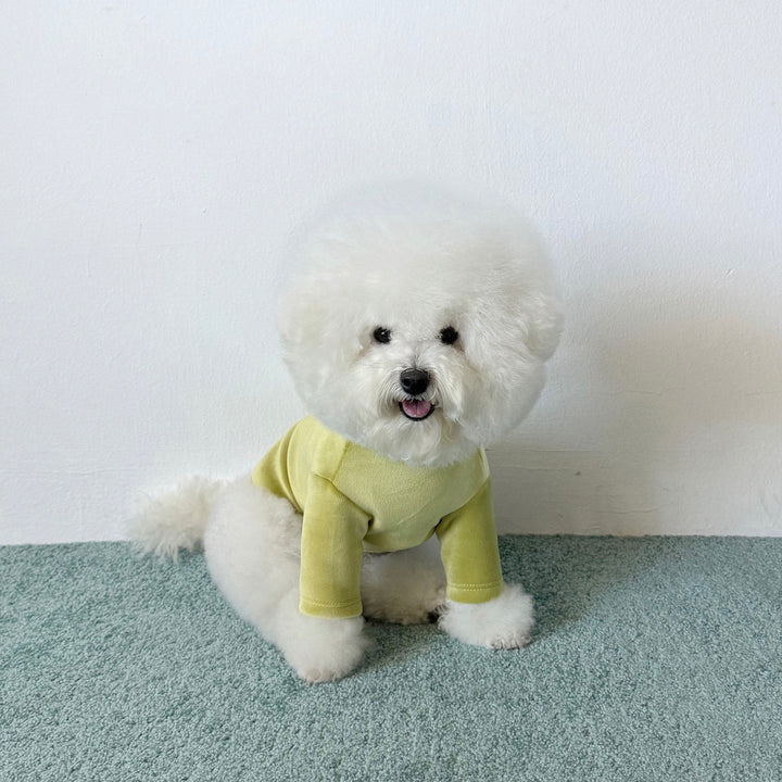 ※予約販売【CRR】Lazy Half Polar Tee（Olive）