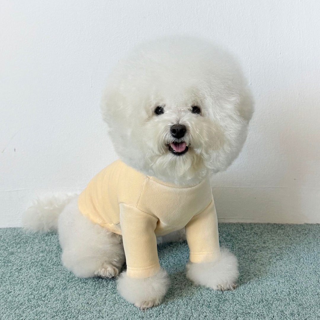 ※予約販売【CRR】Lazy Half Polar Tee（Lemon Cream）