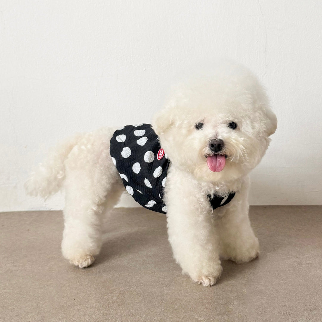 ※予約販売【CRR】Big Dot Balloon Strap Top（Black）