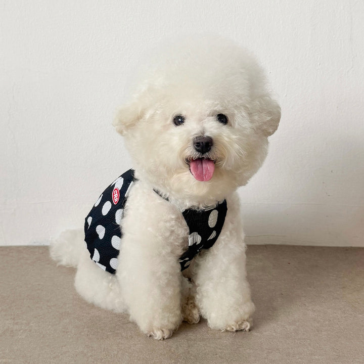 ※予約販売【CRR】Big Dot Balloon Strap Top（Black）