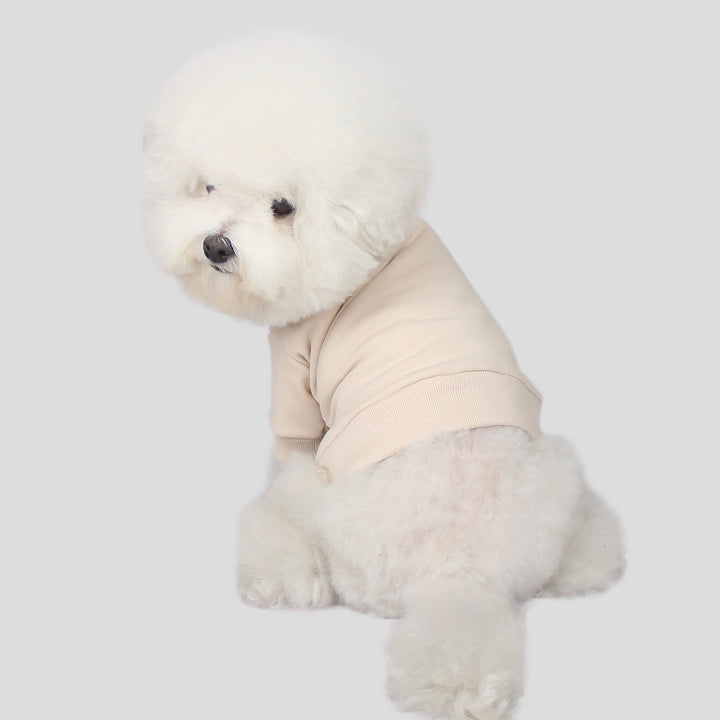 ※予約販売【CRR】Small Logo Sweatshirts（Cream）