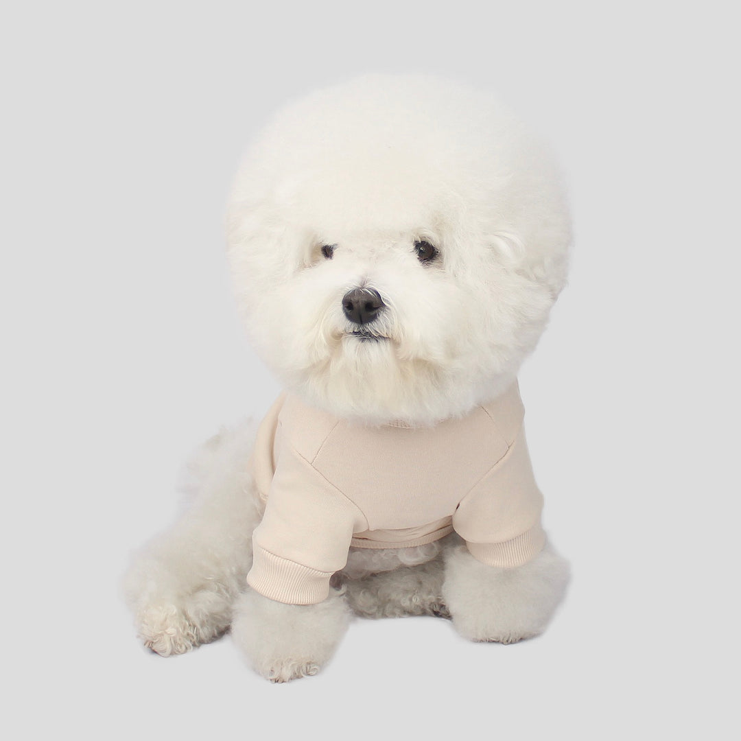 ※予約販売【CRR】Small Logo Sweatshirts（Cream）