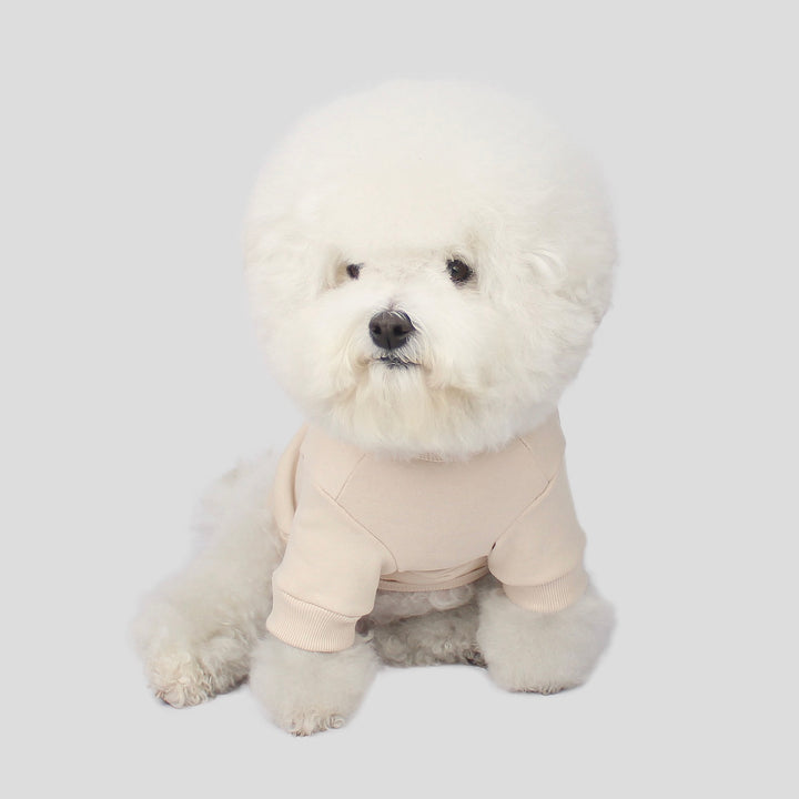 ※予約販売【CRR】Small Logo Sweatshirts（Cream）