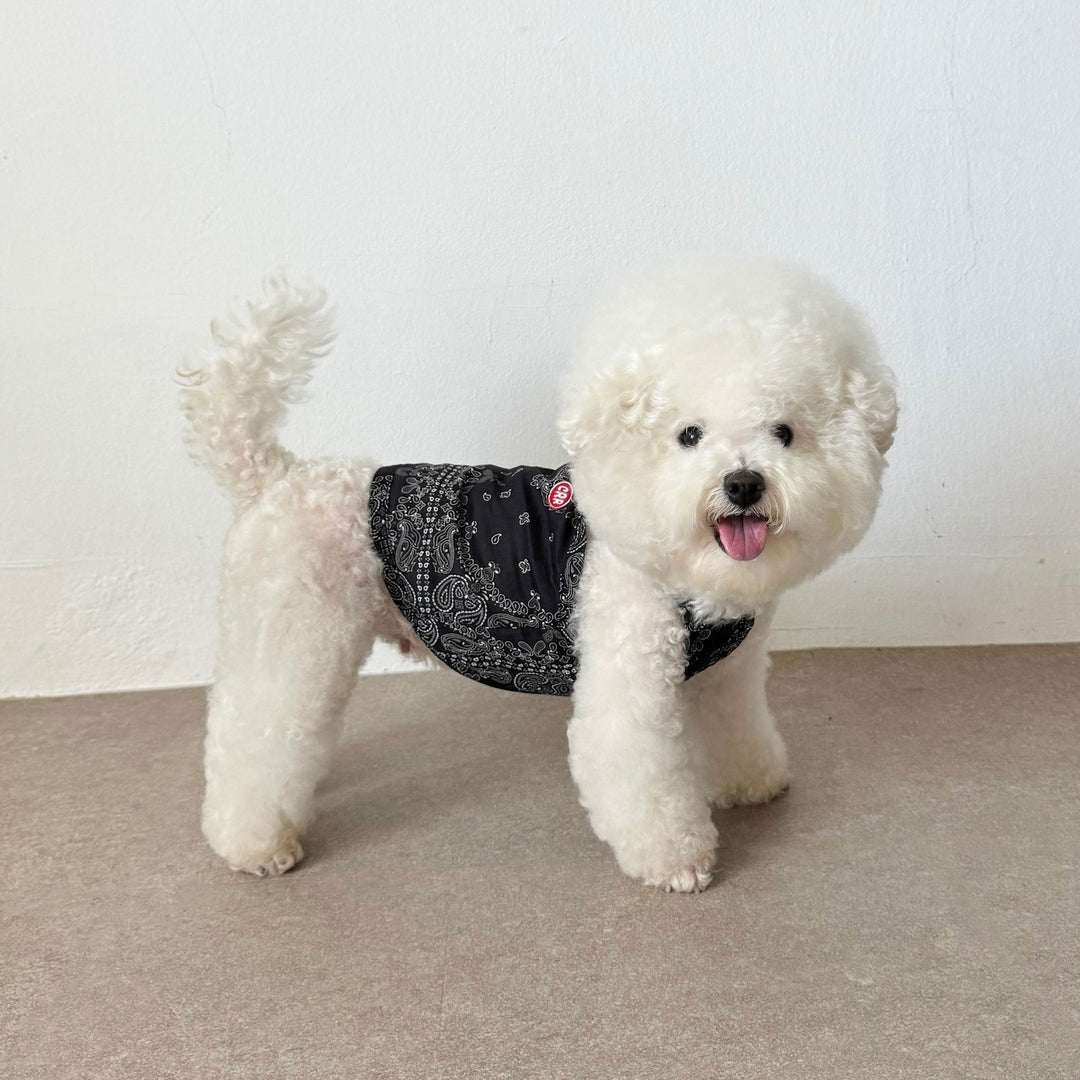 ※予約販売【CRR】Soft Paisley Strap Top（Black）