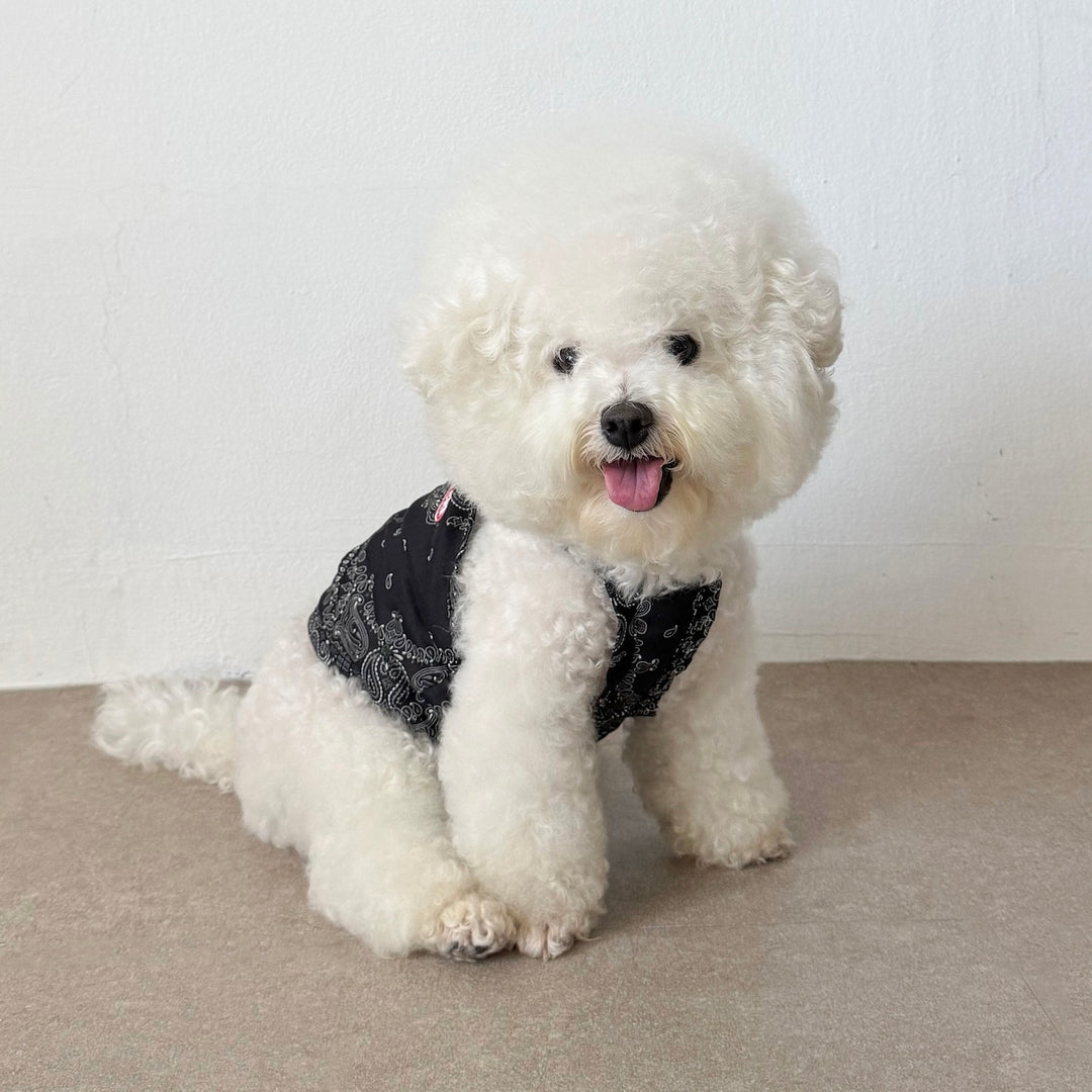 ※予約販売【CRR】Soft Paisley Strap Top（Black）