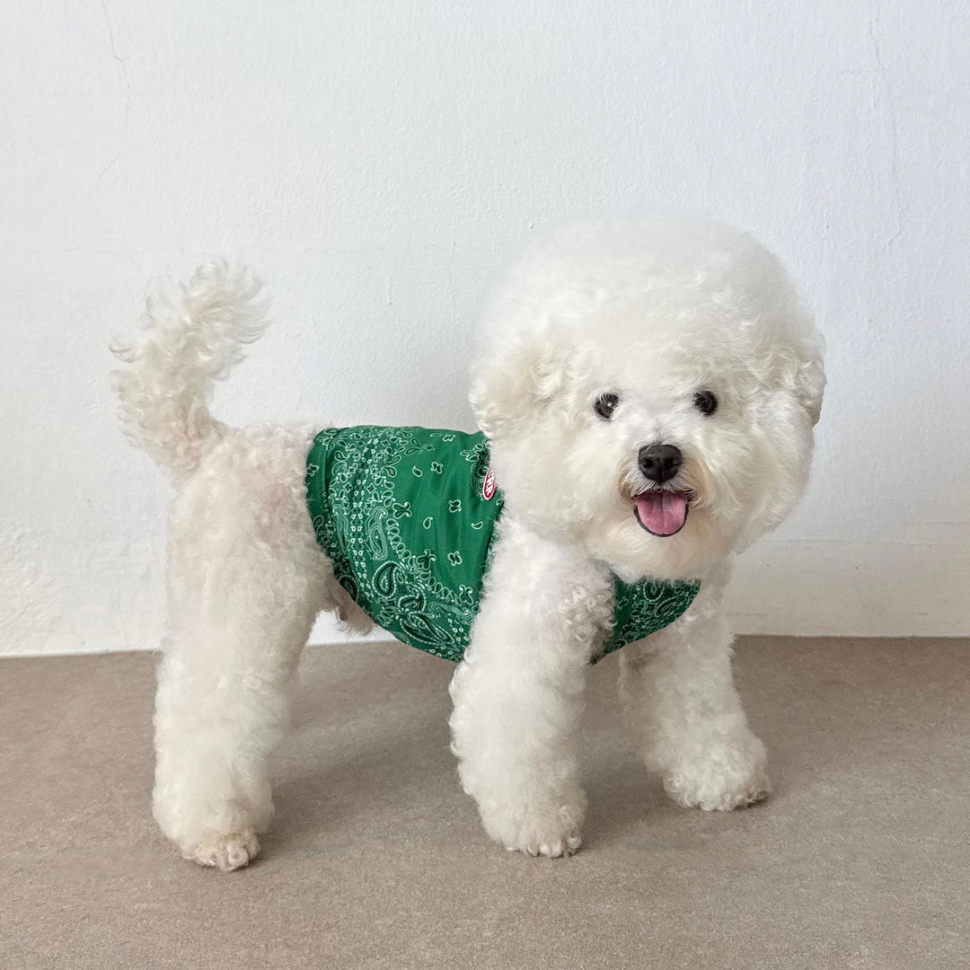 ※予約販売【CRR】Soft Paisley Strap Top（Green）