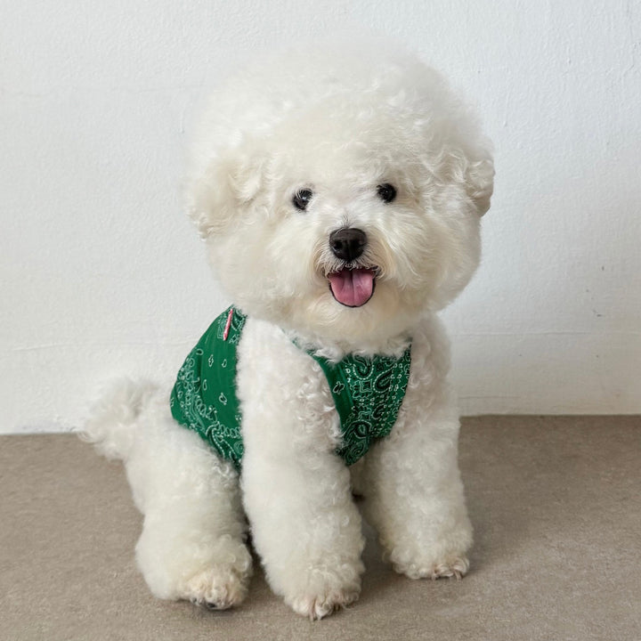 ※予約販売【CRR】Soft Paisley Strap Top（Green）