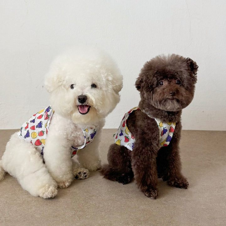 ※予約販売【CRR】Tiny Fruit Summer Strap Top