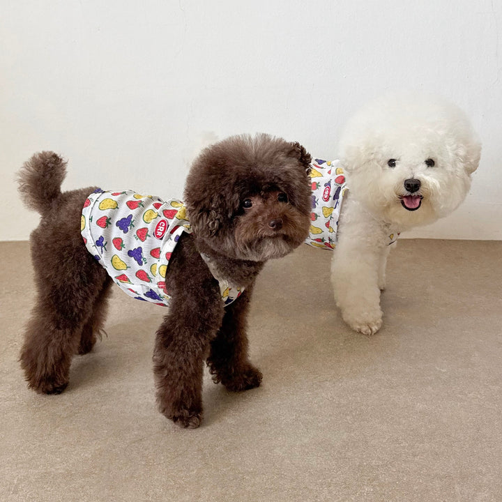 ※予約販売【CRR】Tiny Fruit Summer Strap Top