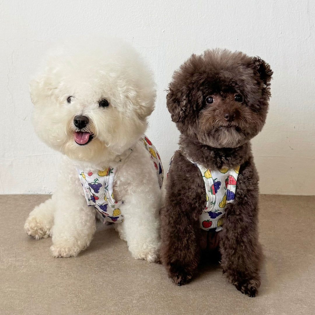 ※予約販売【CRR】Tiny Fruit Summer Strap Top