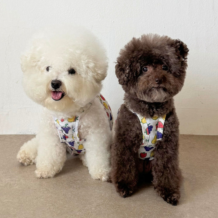 ※予約販売【CRR】Tiny Fruit Summer Strap Top