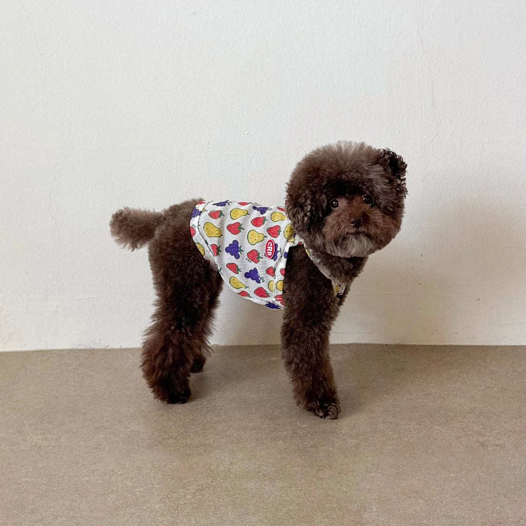 ※予約販売【CRR】Tiny Fruit Summer Strap Top