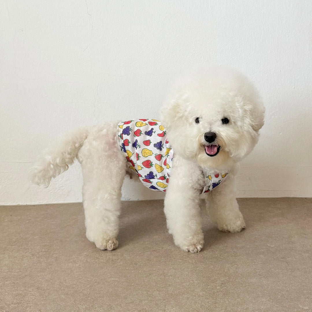 ※予約販売【CRR】Tiny Fruit Summer Strap Top